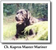 Ch. Kupros Master Mariner