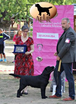 Trofeo Carpenny - Mejor Cachorro