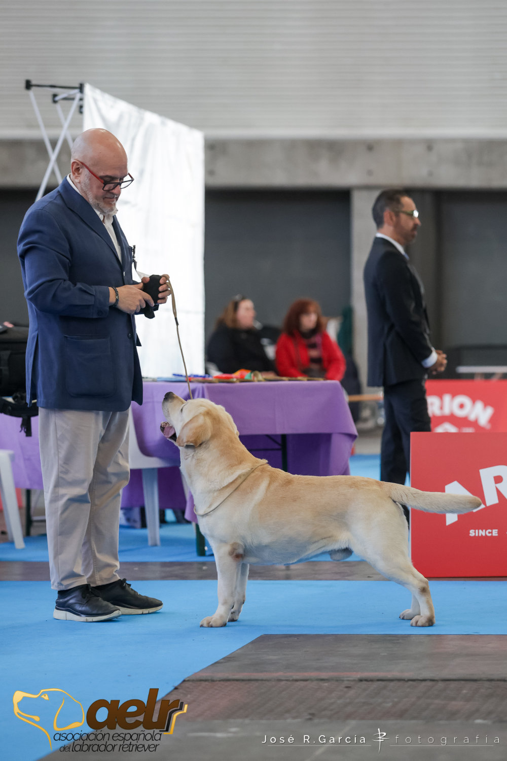17 - Ch. Barrilete De Harpocan