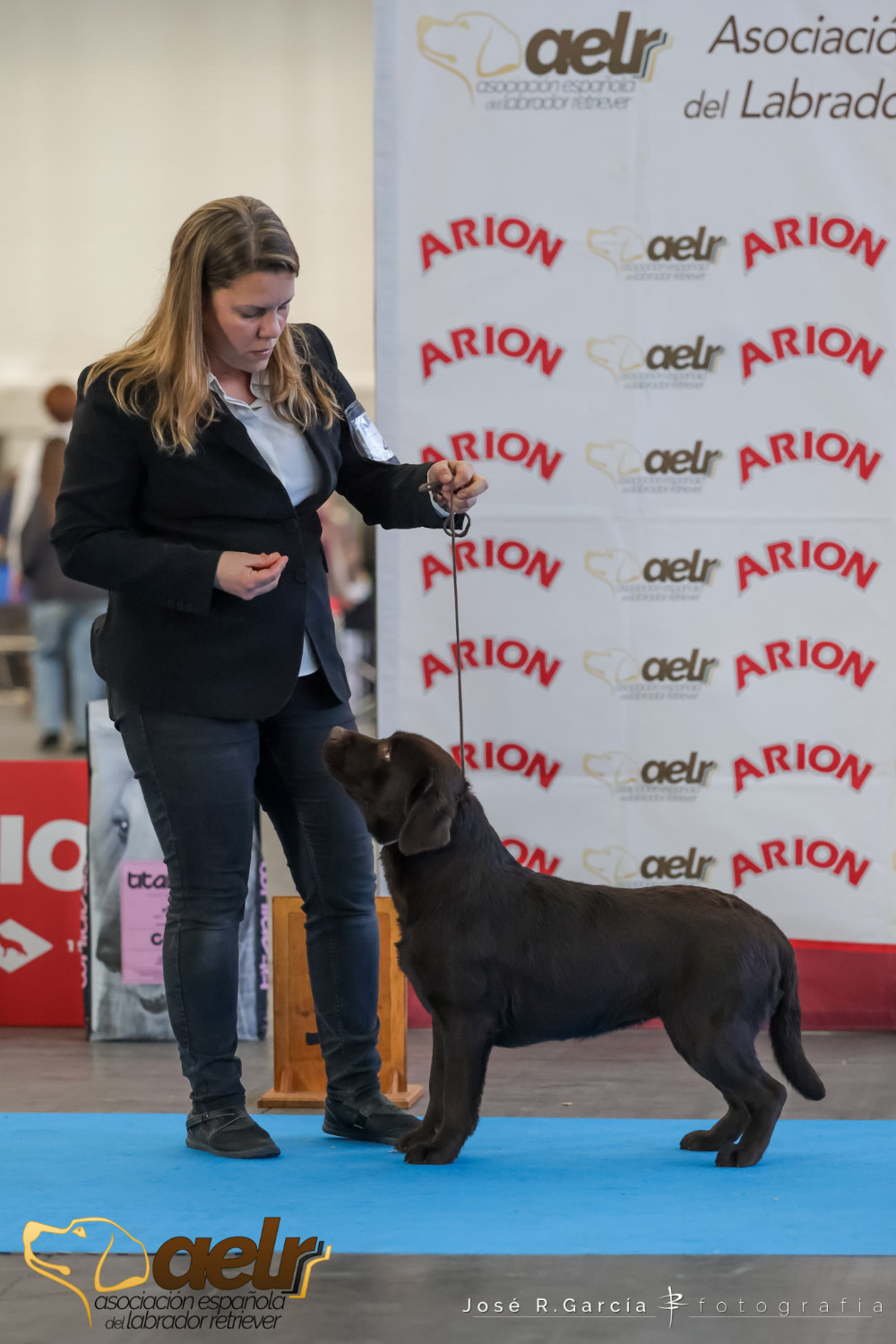 40 - Labradorita de la Salmantina